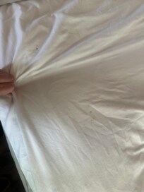 Hair under blanket on sheets