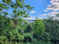 View of the trees outside the deck