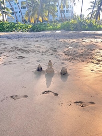 Gorgeous beach on the property.