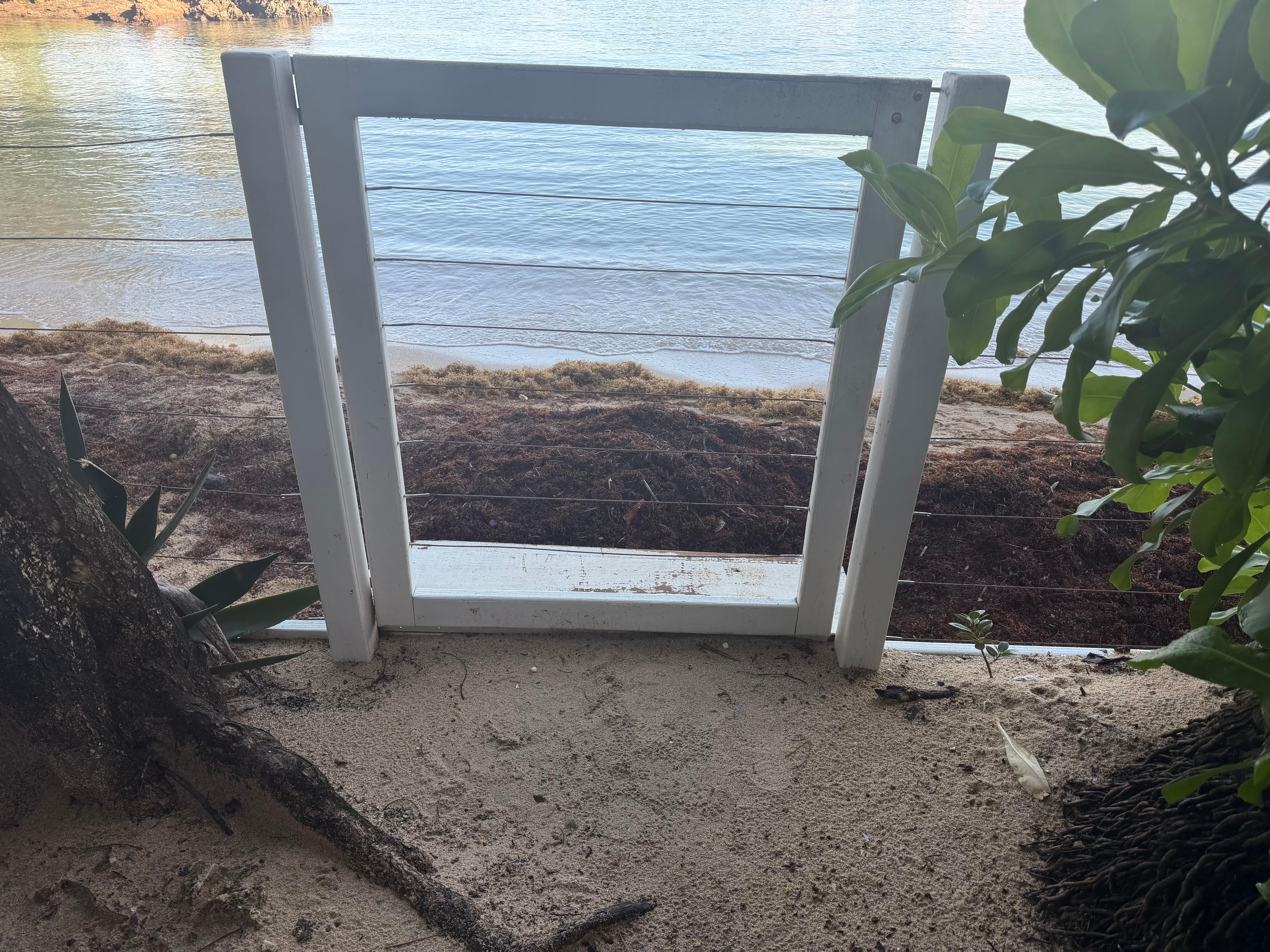 Had to walk on the seaweed to get out or in.