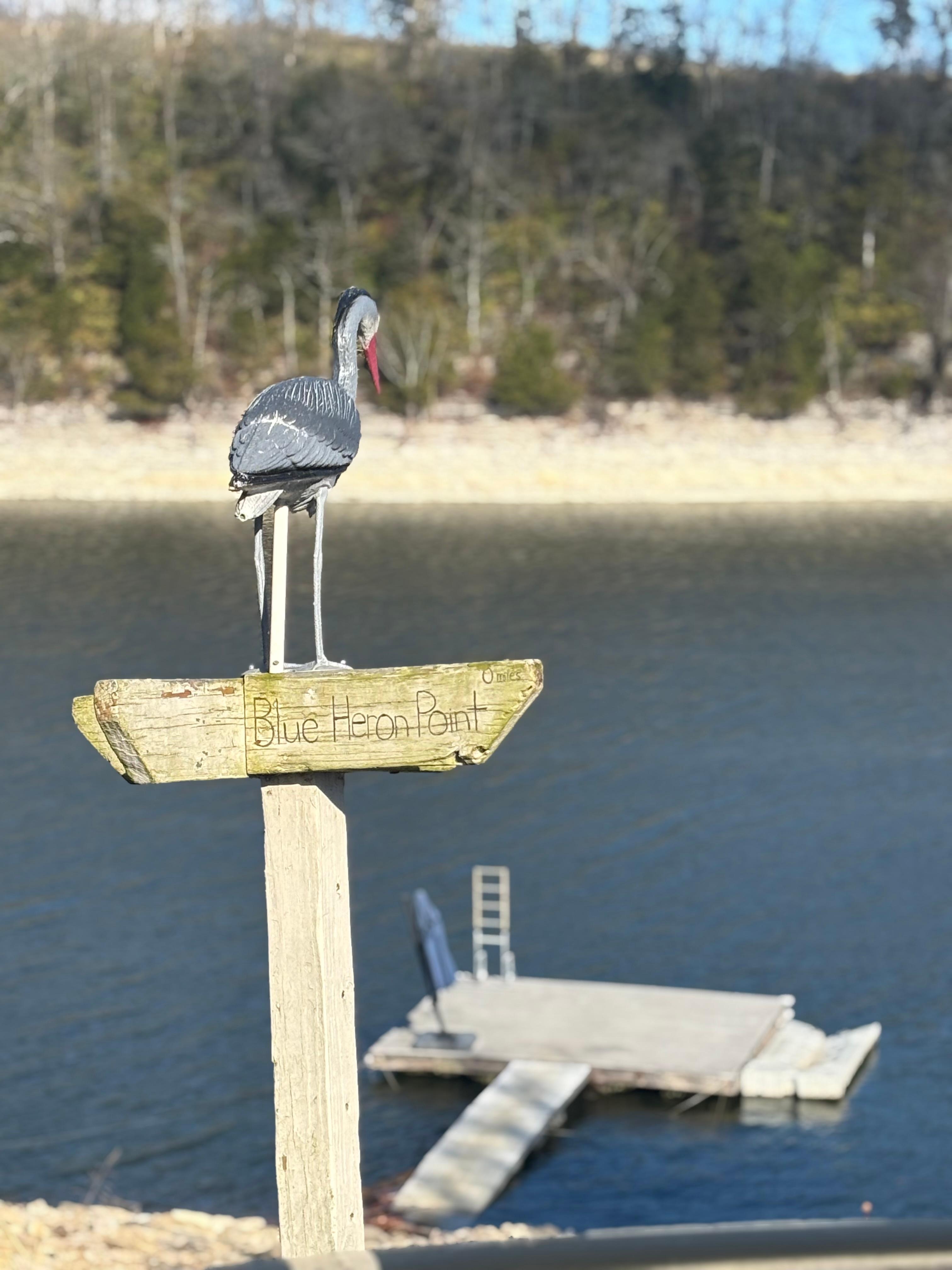 We enjoyed a memorable Thanksgiving as a family! 