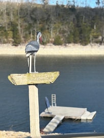 We enjoyed a memorable Thanksgiving as a family!