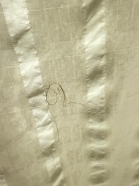 Hair on shower curtain