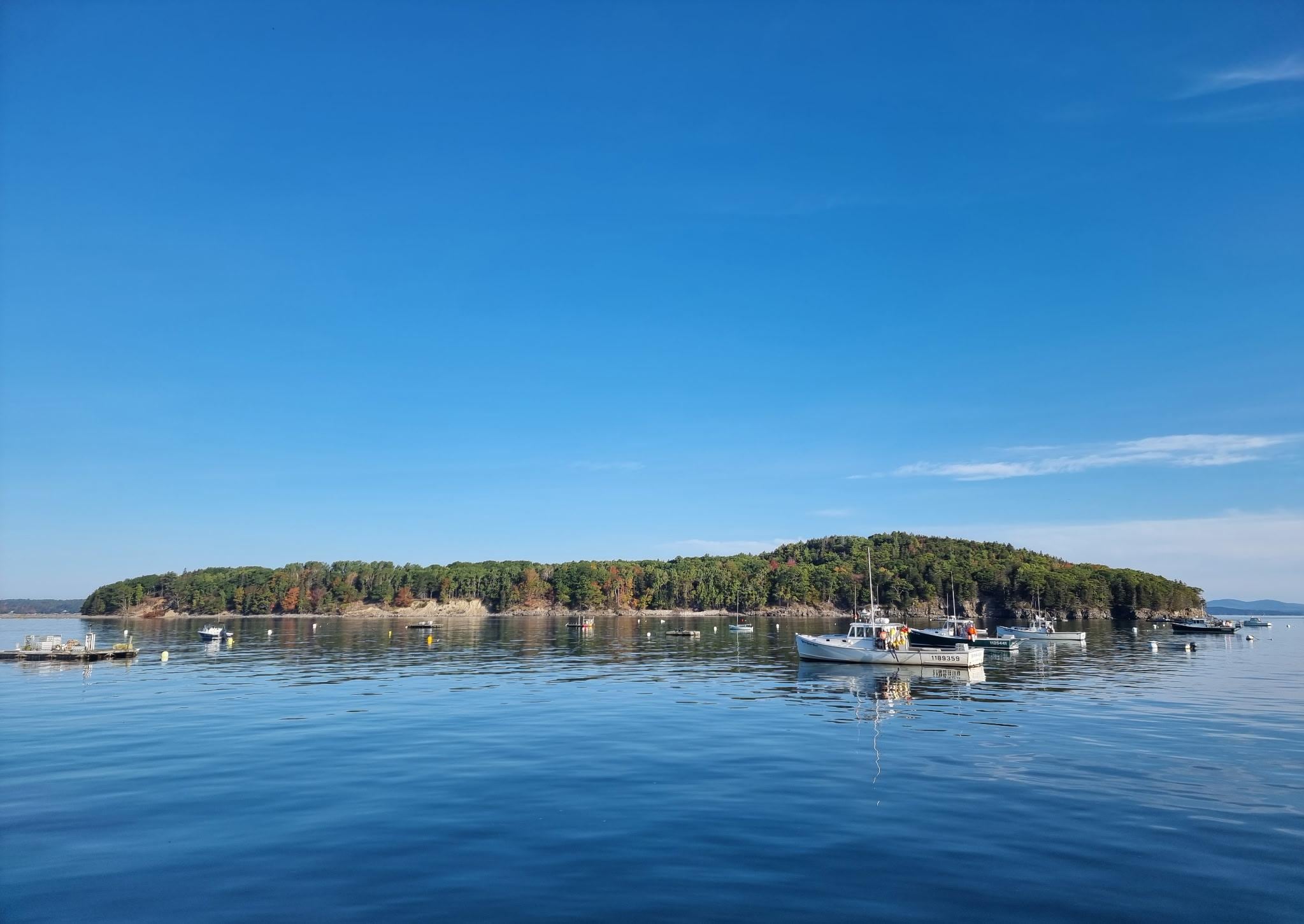 Water, water everywhere!