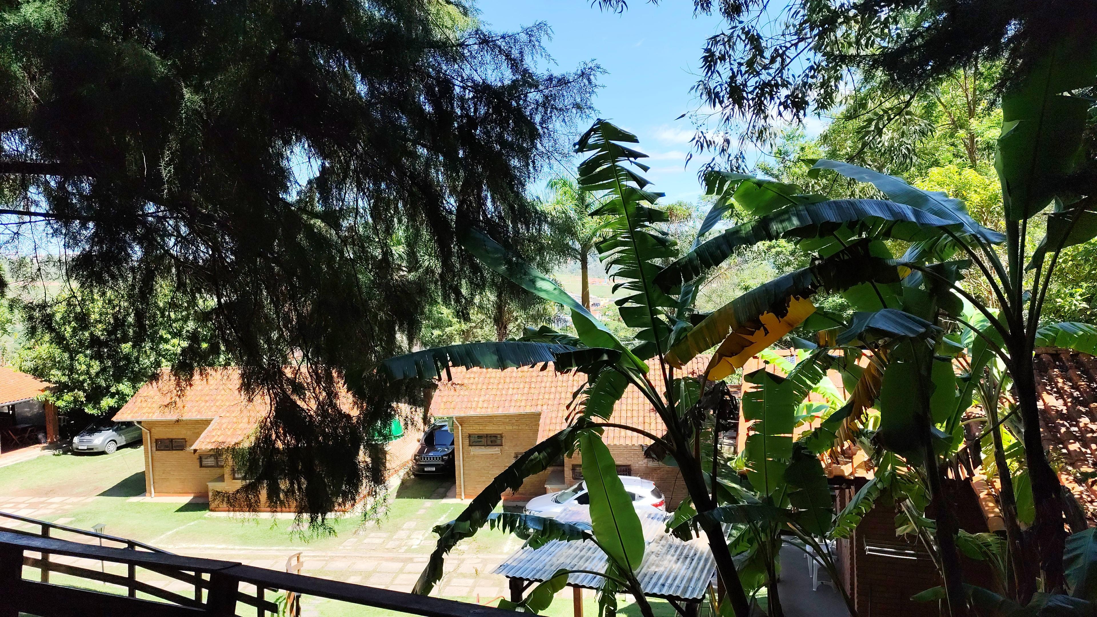 No domingo o sol apareceu e espiei logo cedo na janela 