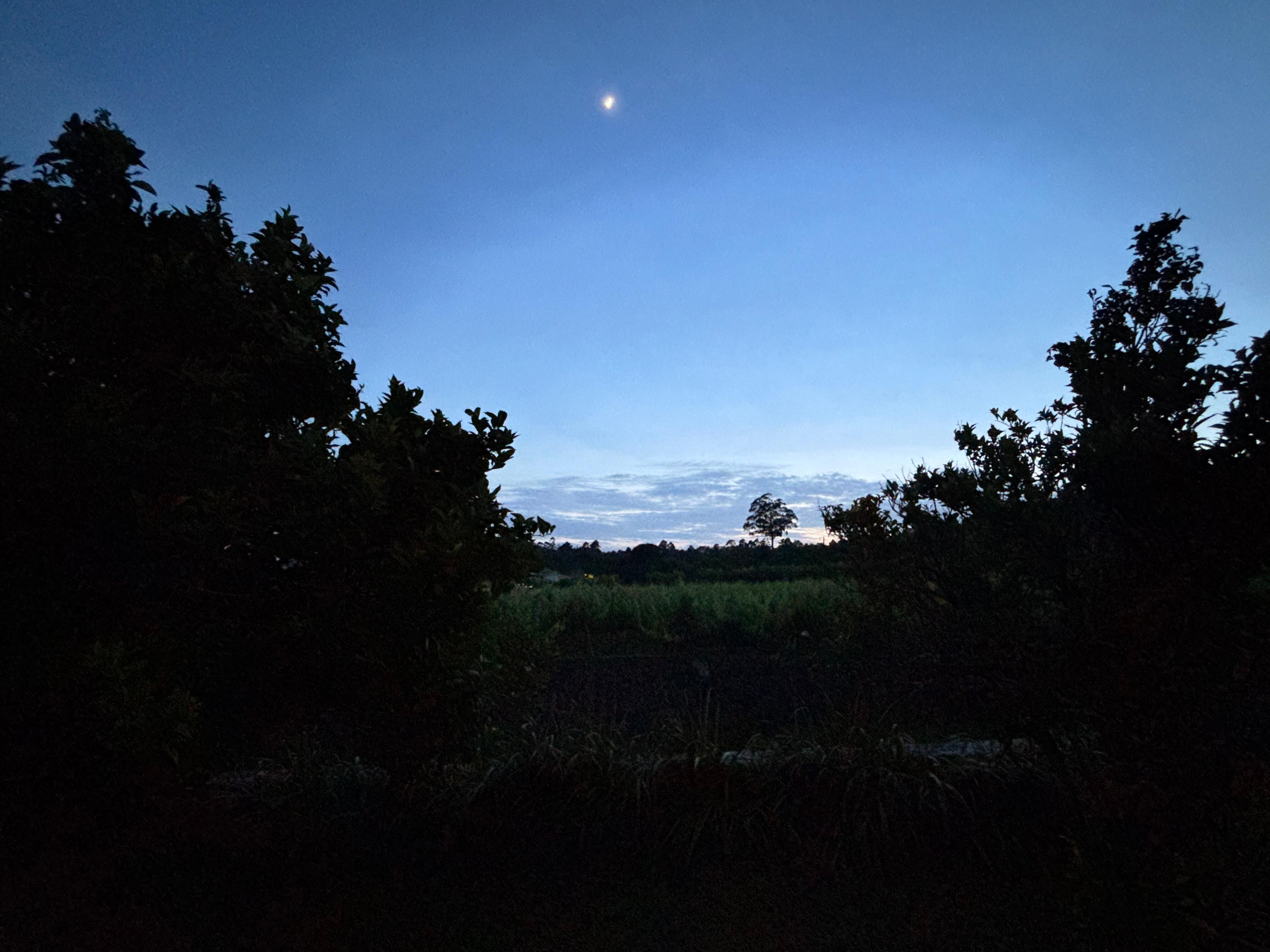 Zicht vanaf het terras na zonsondergang 