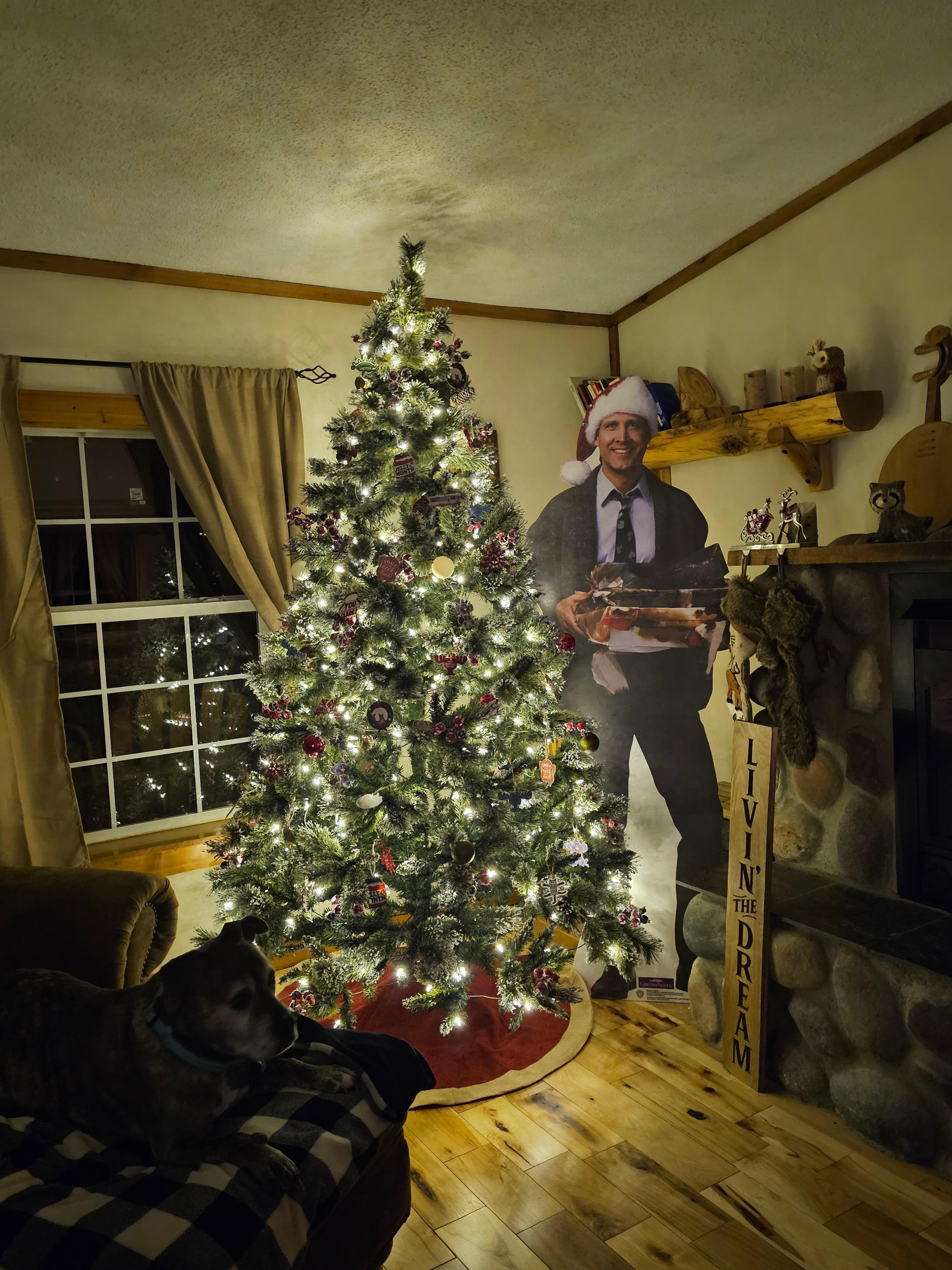 Christmas Vacation themed Christmas tree! 