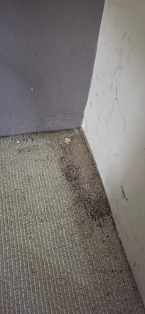 Bedroom carpets, dirt, dust, cobwebs