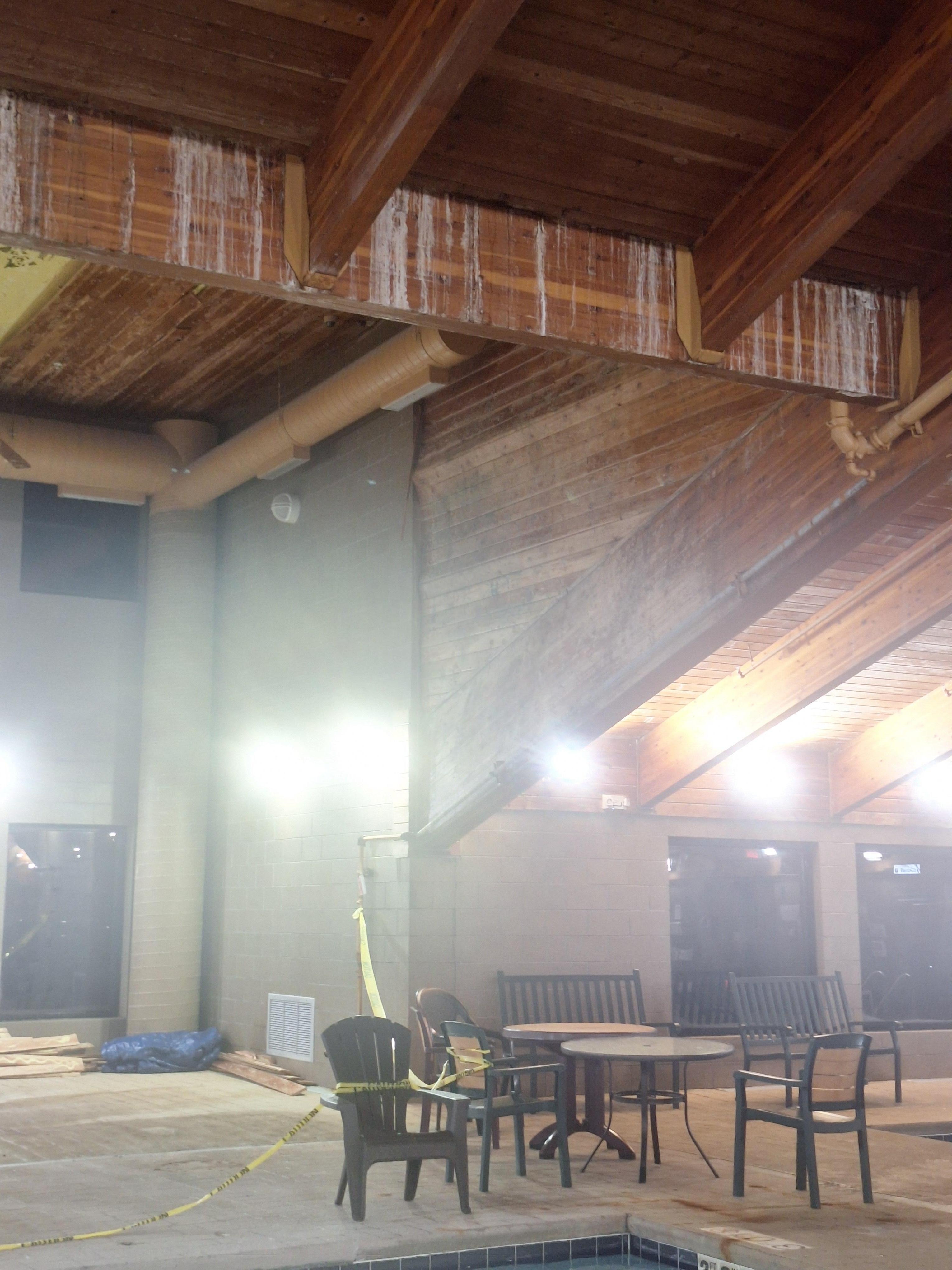 Red ants in the towels