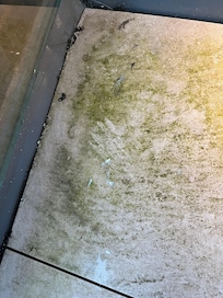 Glass fragments on balcony.