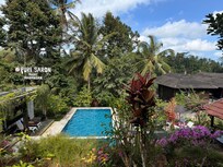 Main pool
