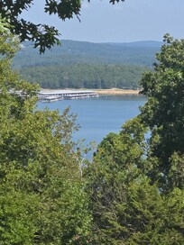 View from the back patio