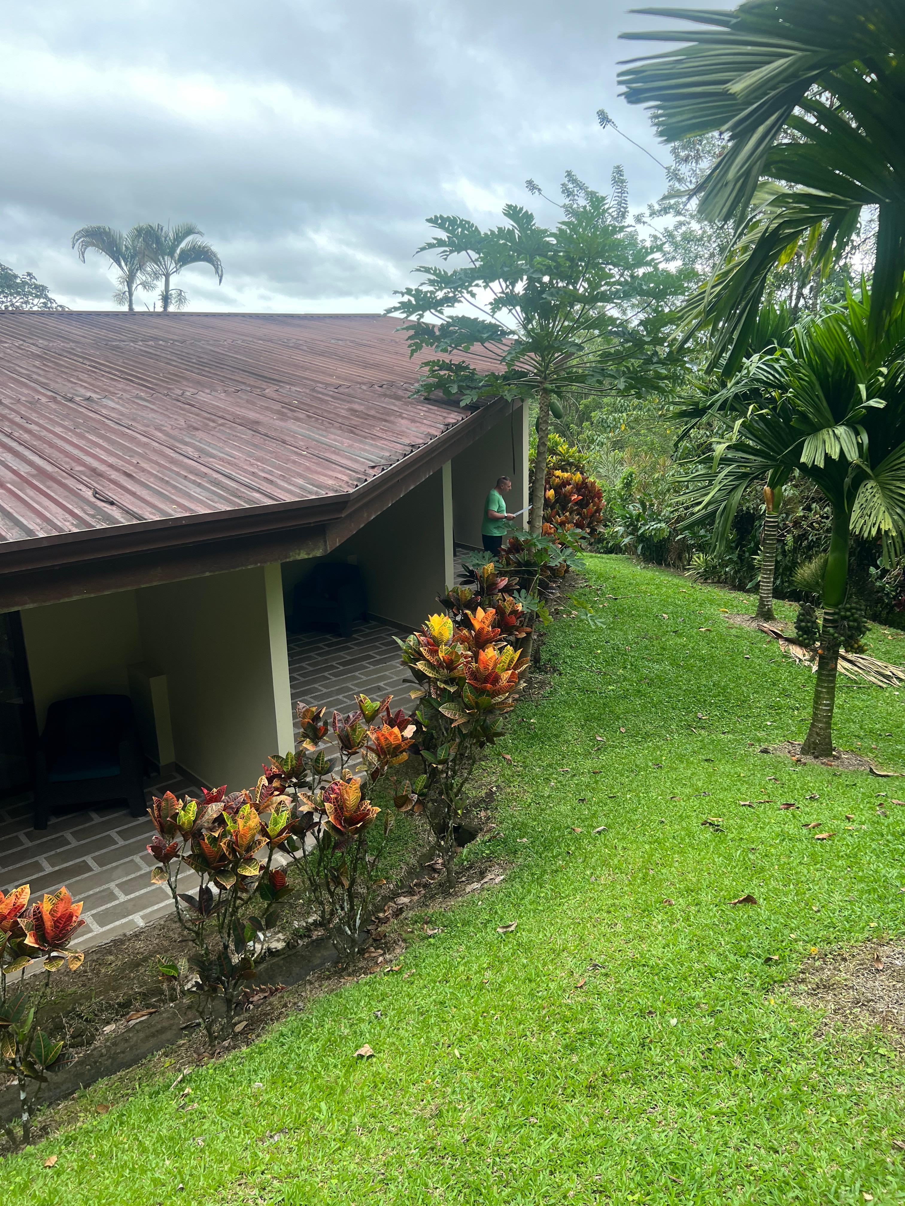Bach patio view