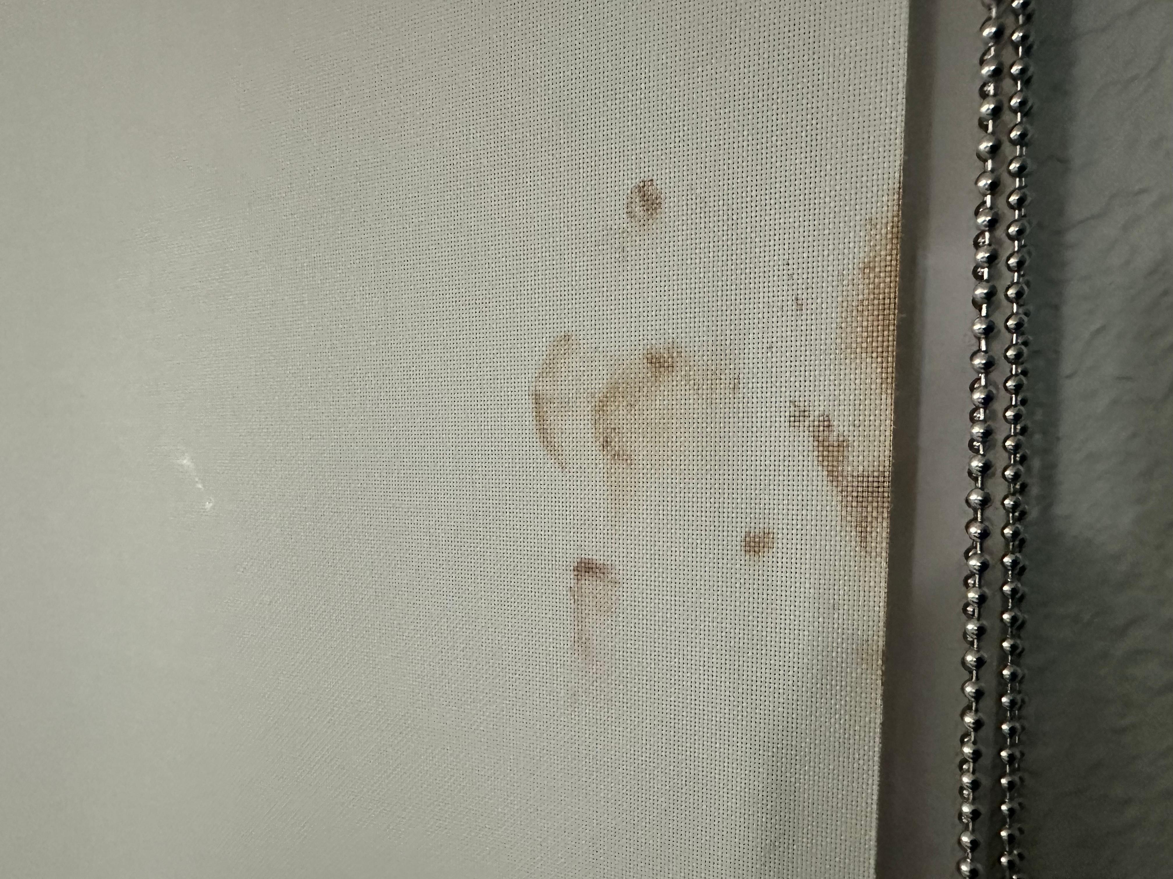 Blood stains on the window shade