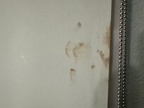 Blood stains on the window shade