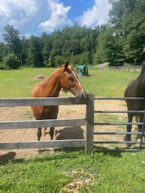 Saying hi to the neighbors.