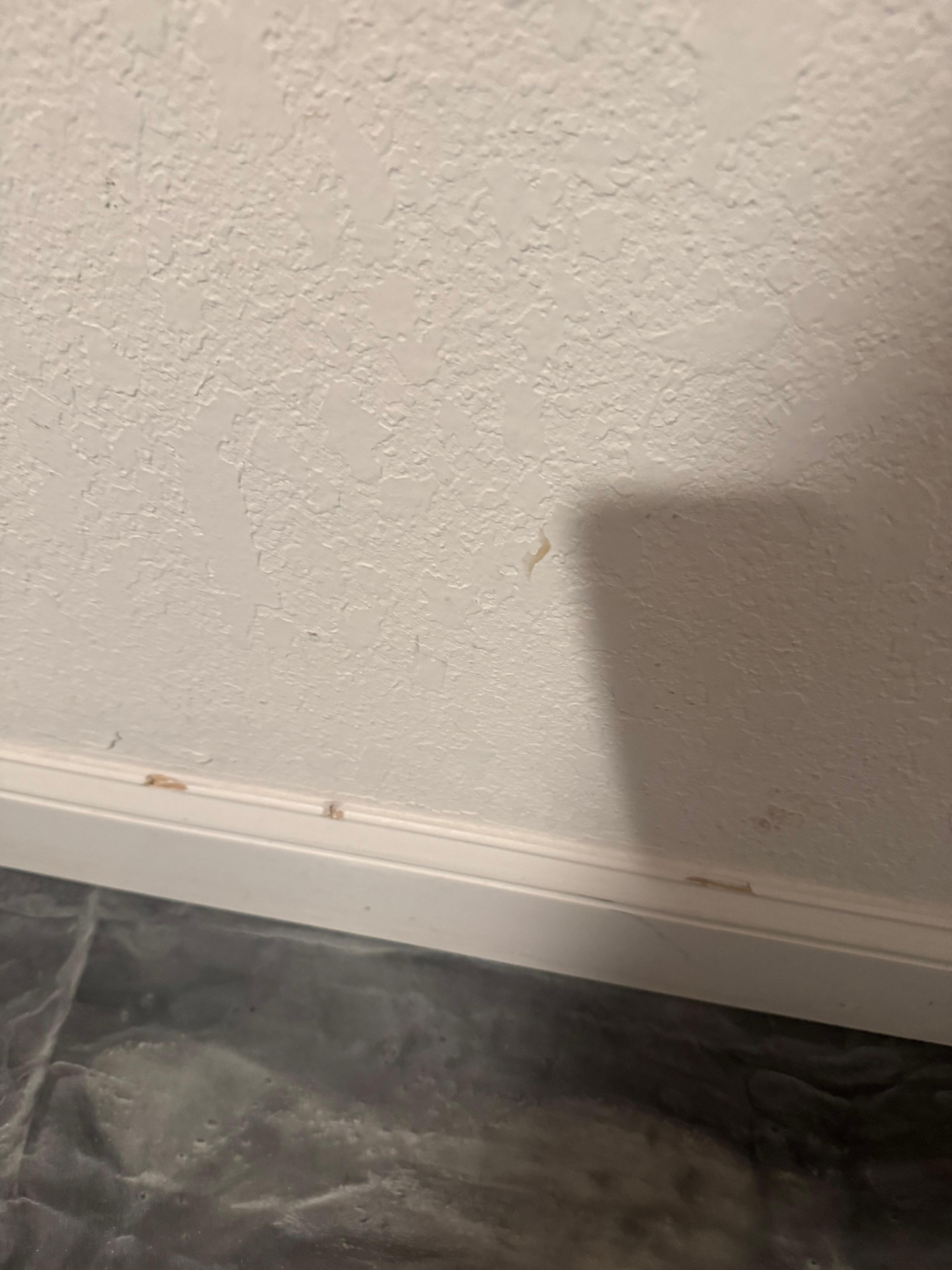 Dusty baseboards and scuffed walls 