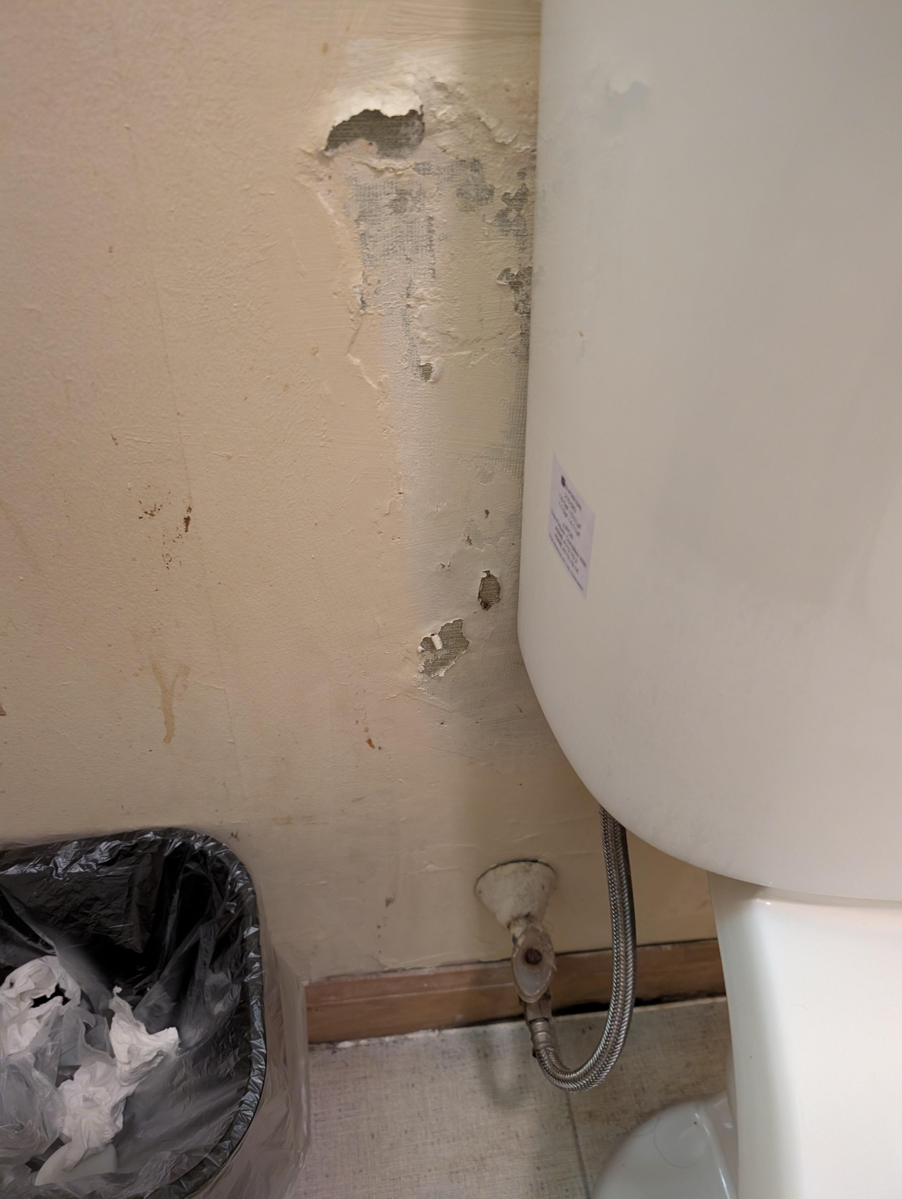 Bathroom wall by the toilet