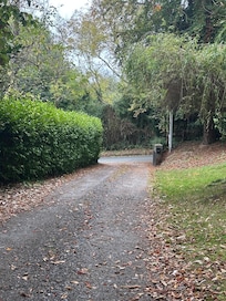 view from part of the long driveway looking towards main road