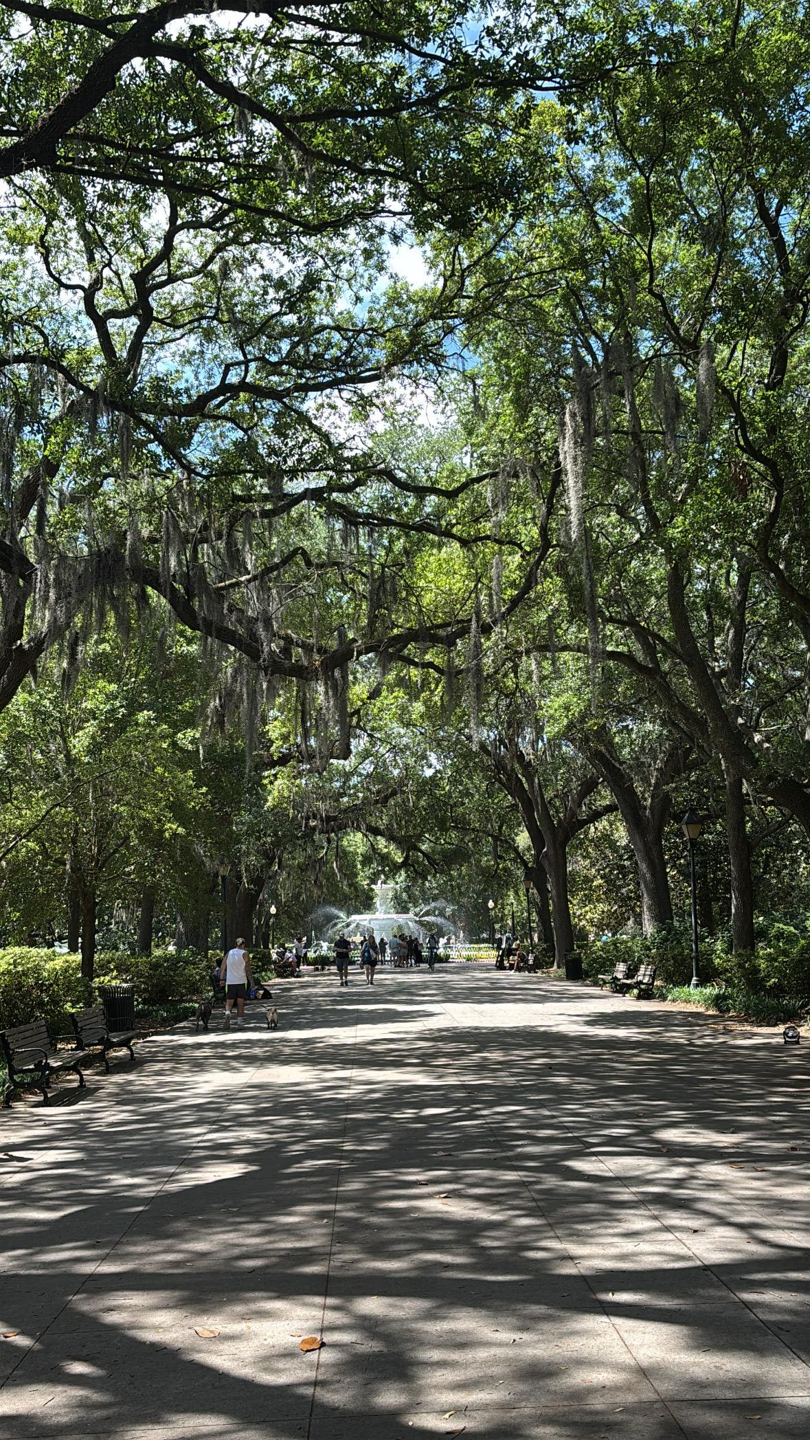 Forsyth Park is just around the corner from the apartment! 