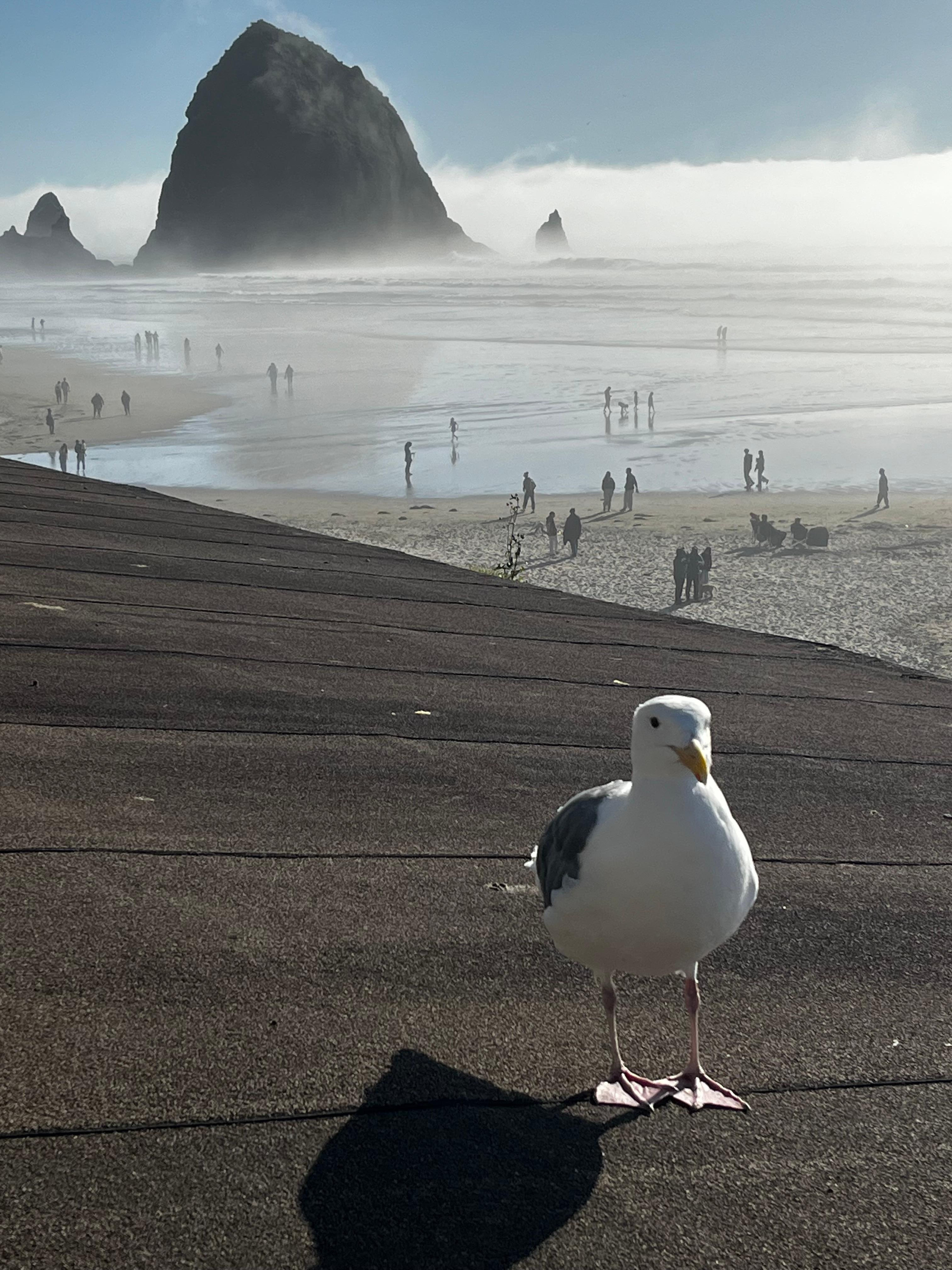 View from the balcony 
