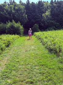 Path from beach