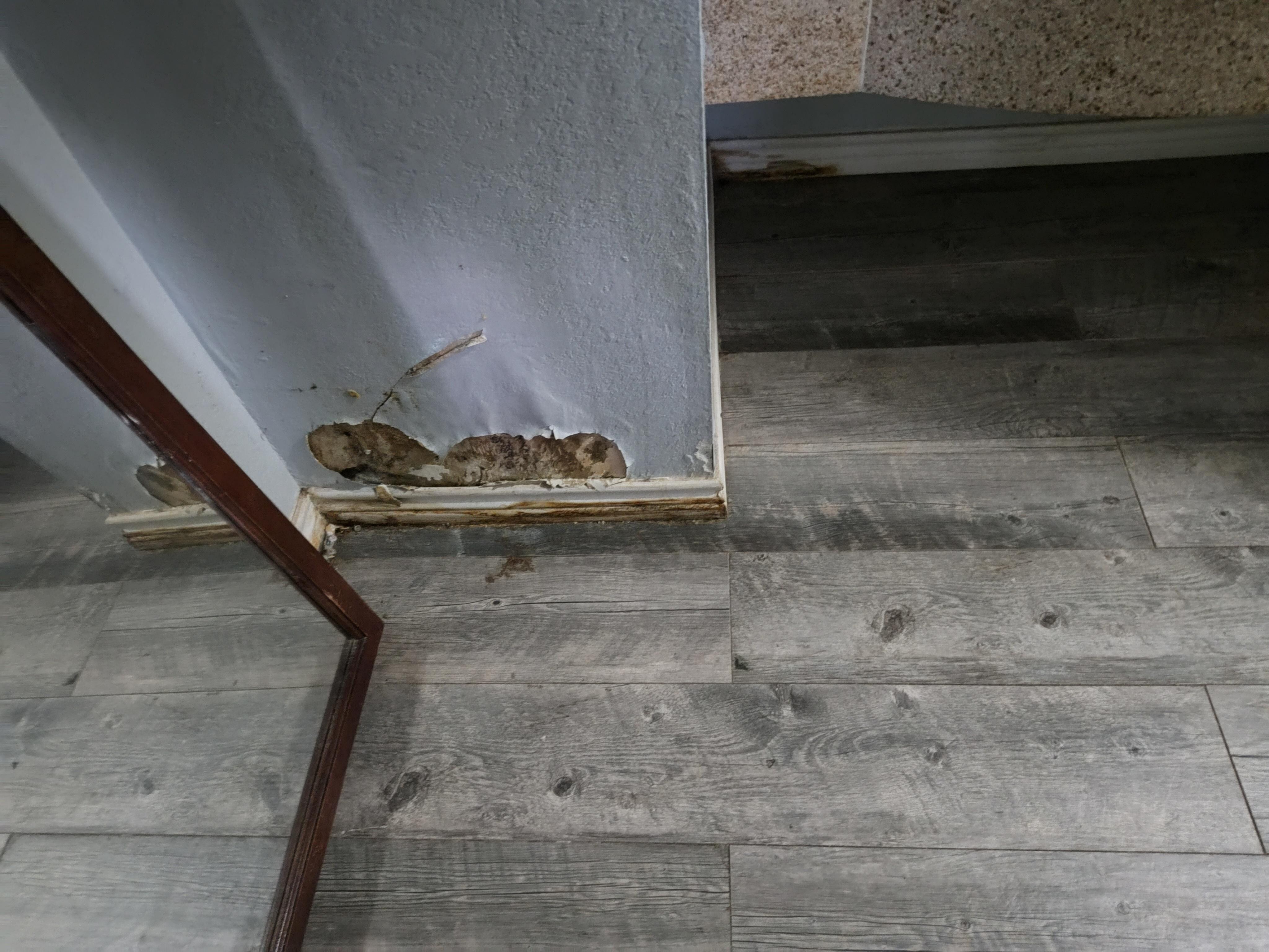 Molded broken and leaking water in room 119