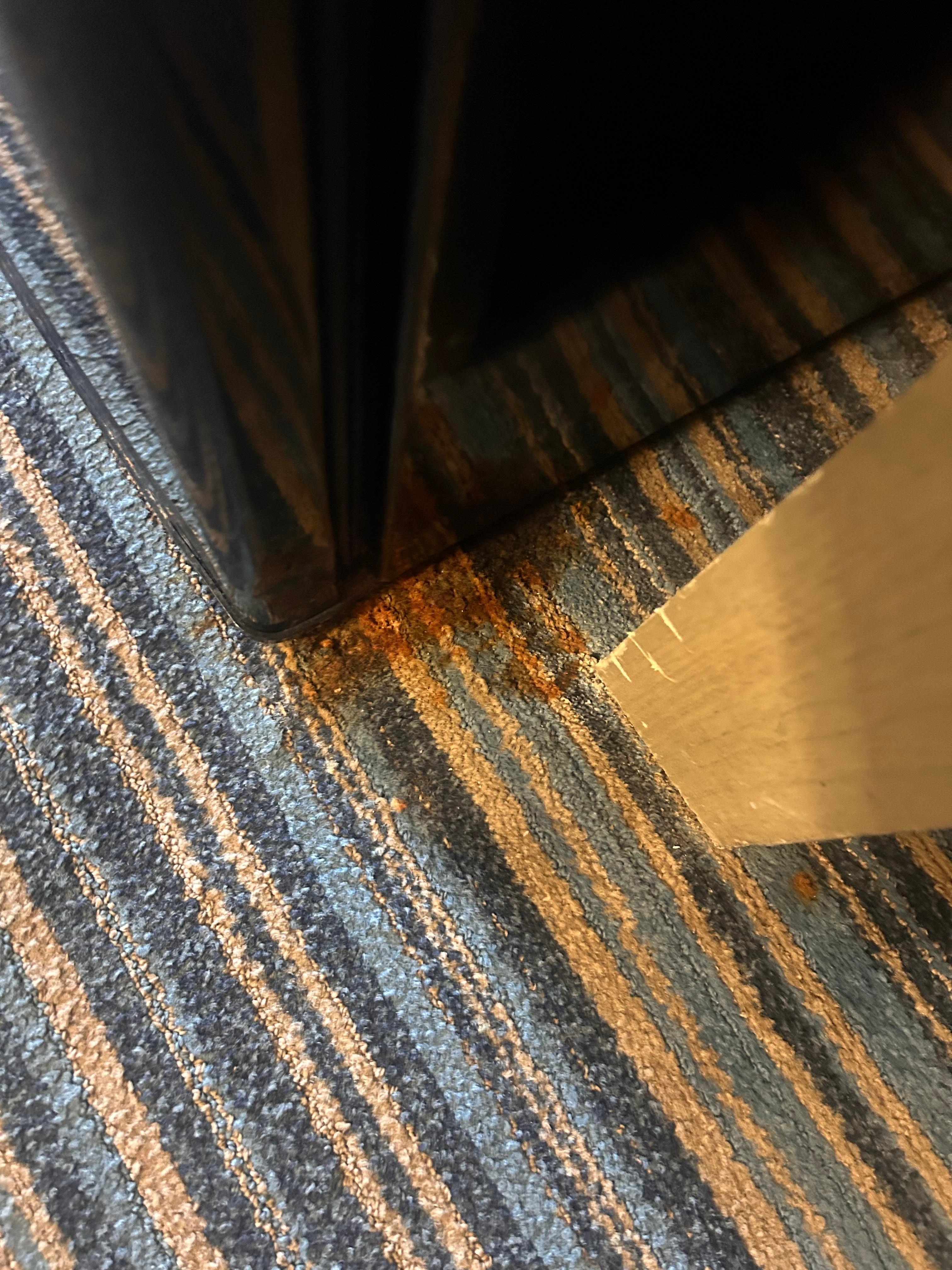 Nasty stains on the carpet