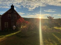 The sunrises were so incredible and the colors all around so vibrant