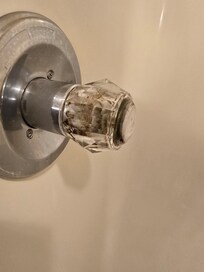All shower knobs full of black mold