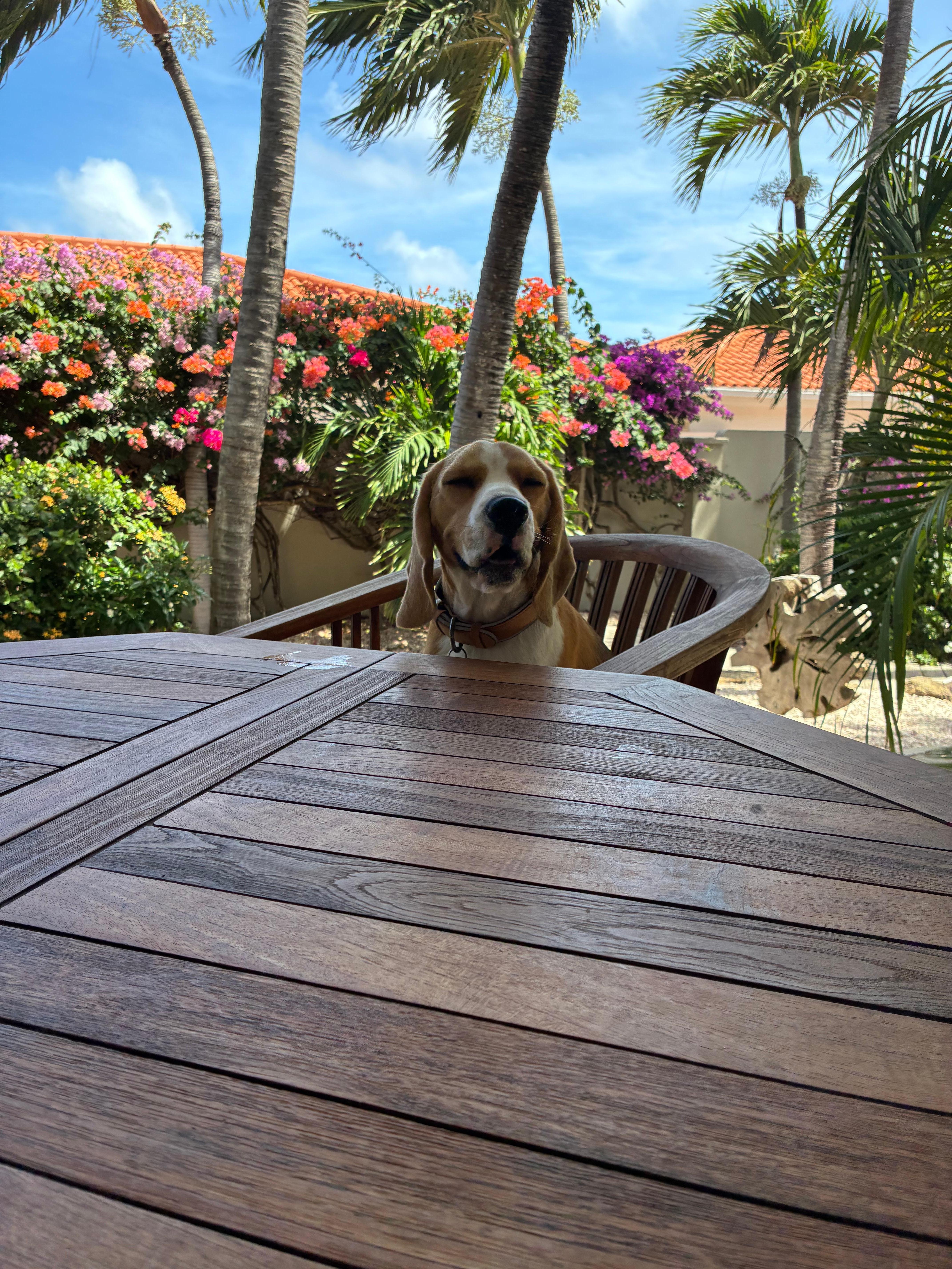 Our extra friendly pal. 