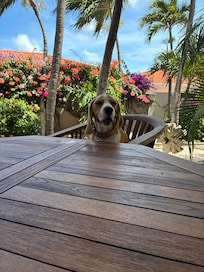 Our extra friendly pal.