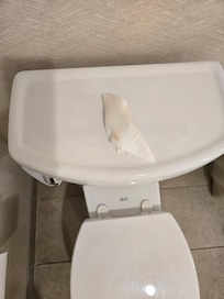 My Clorox wipe after cleaning the toilet