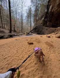 Perfect for our honeymoon đ