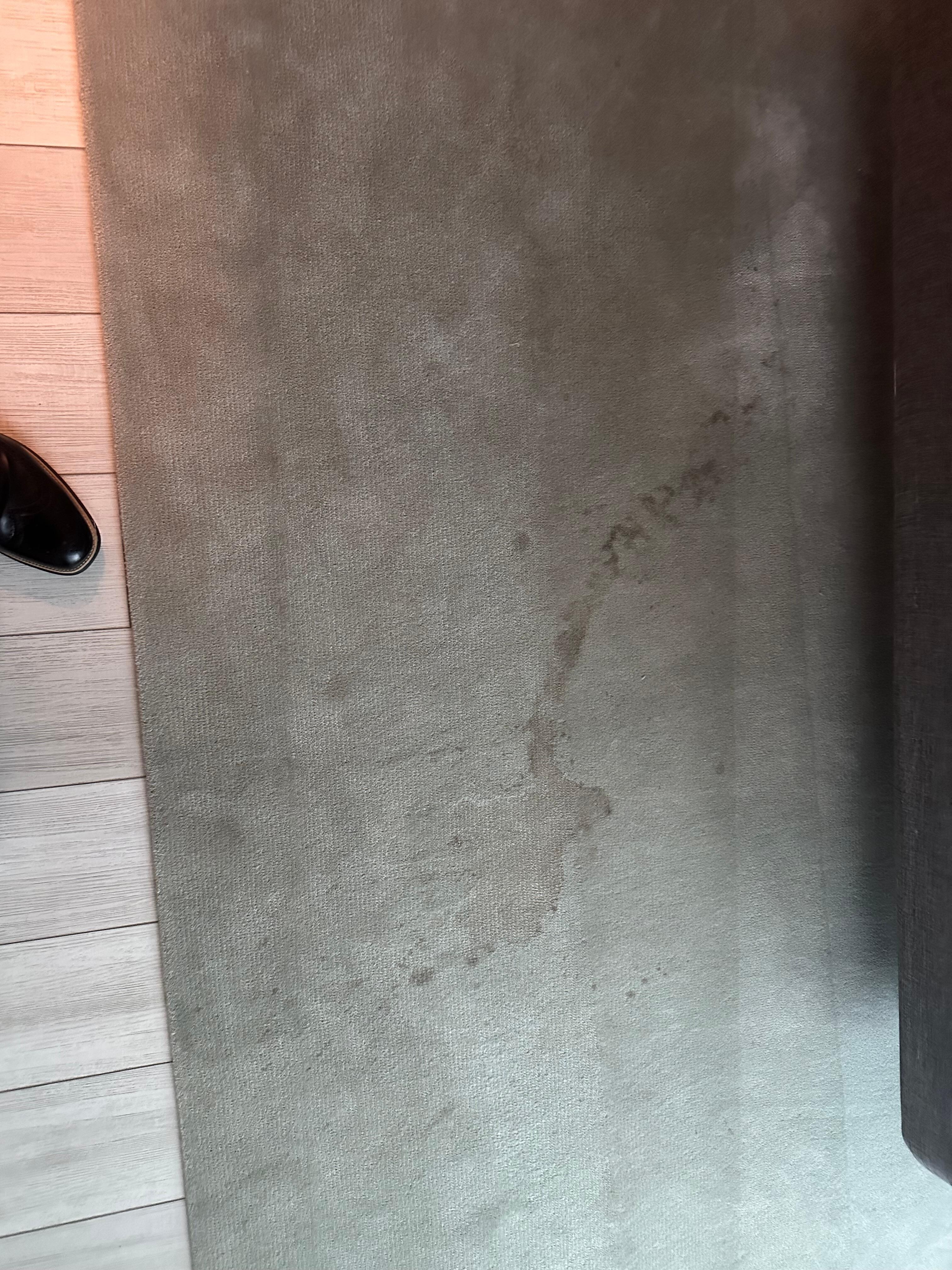 Carpet stains 