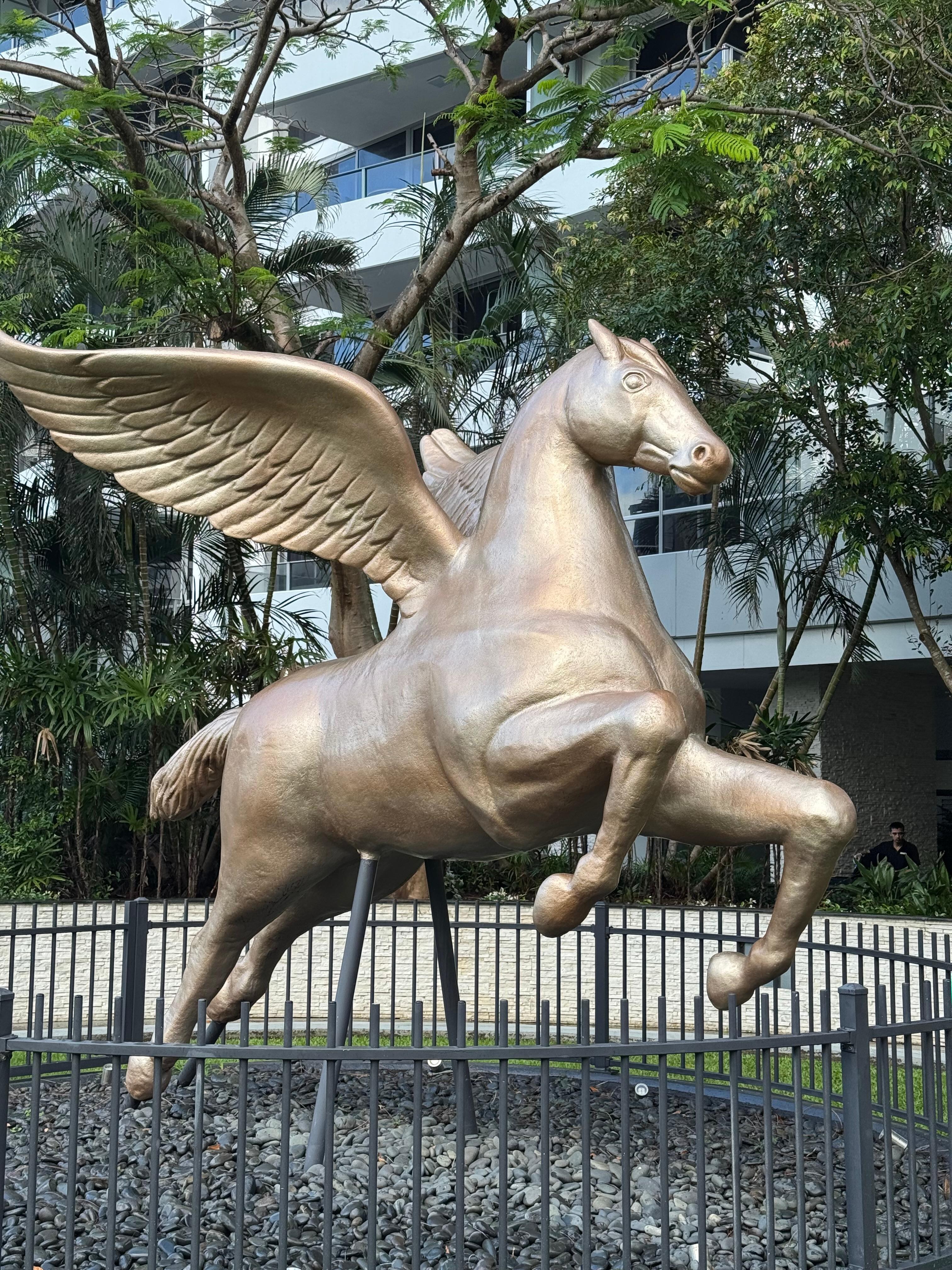 Pegasus i bakgården