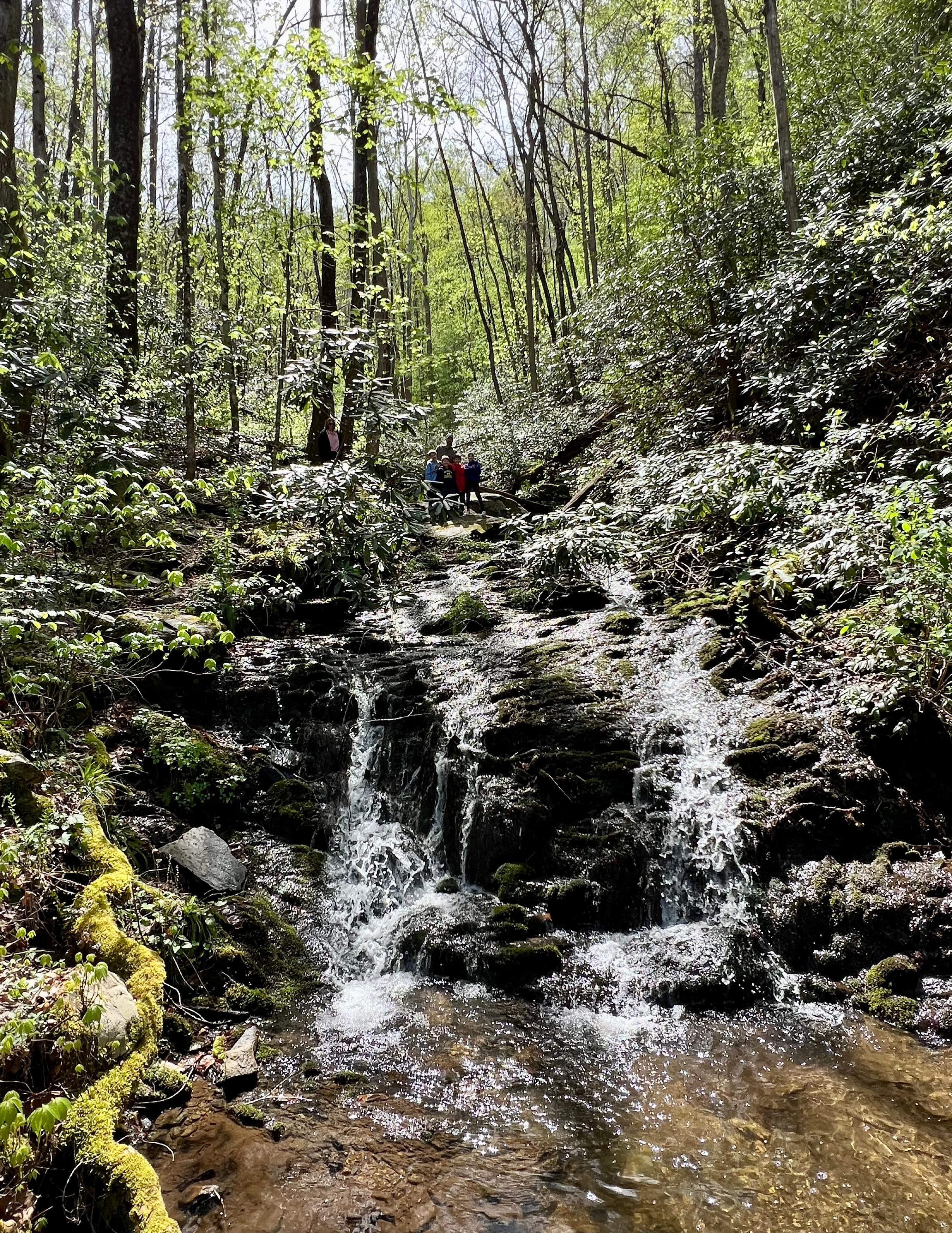 Waterfall on a hike