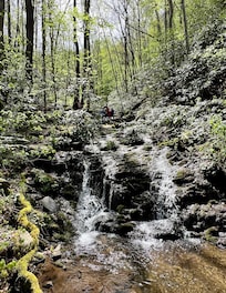 Waterfall on a hike