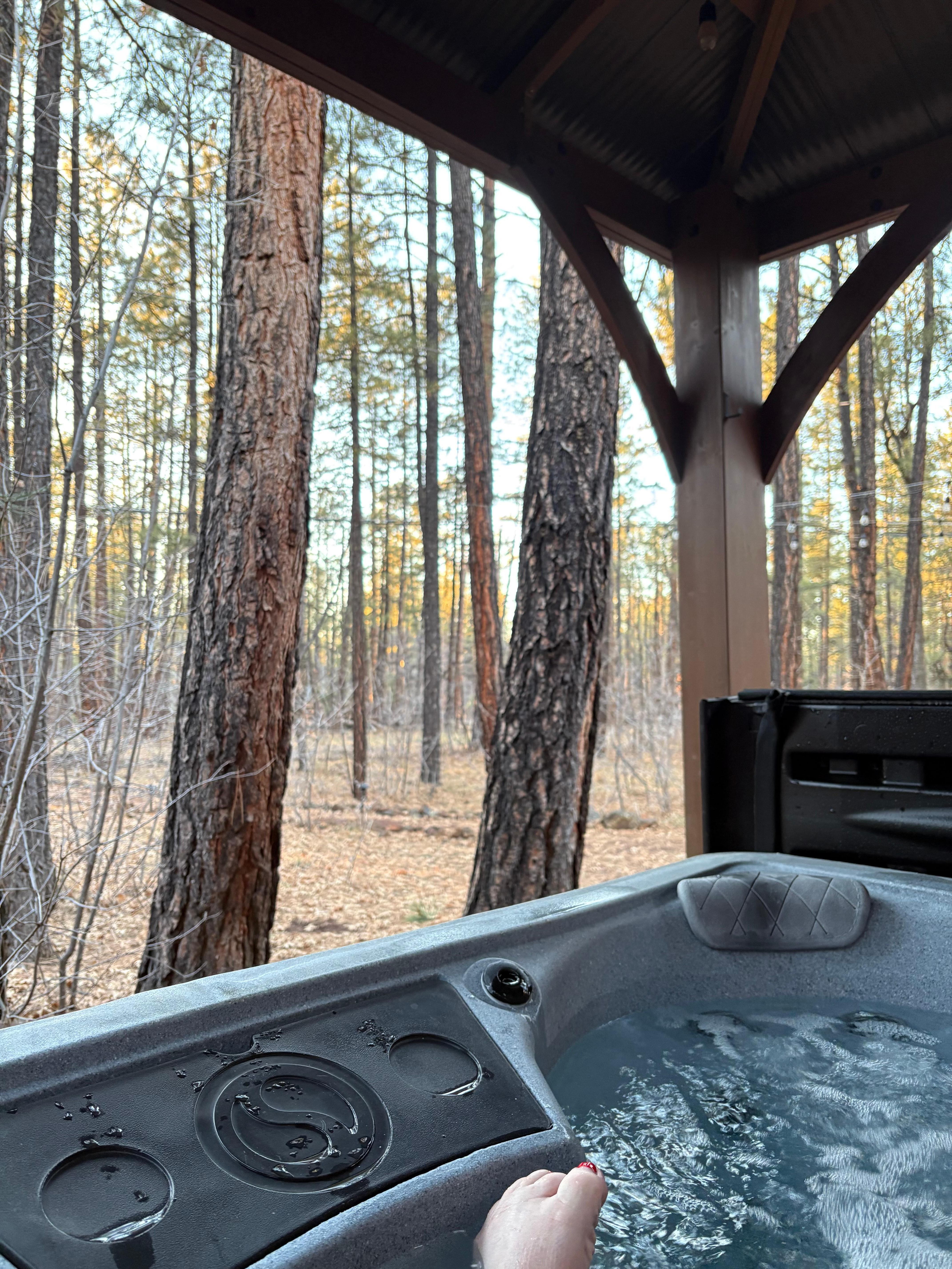 Beautiful relaxing view. 