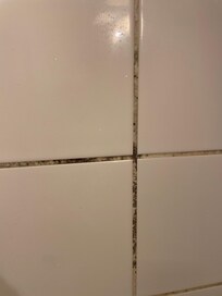 Mold in shower