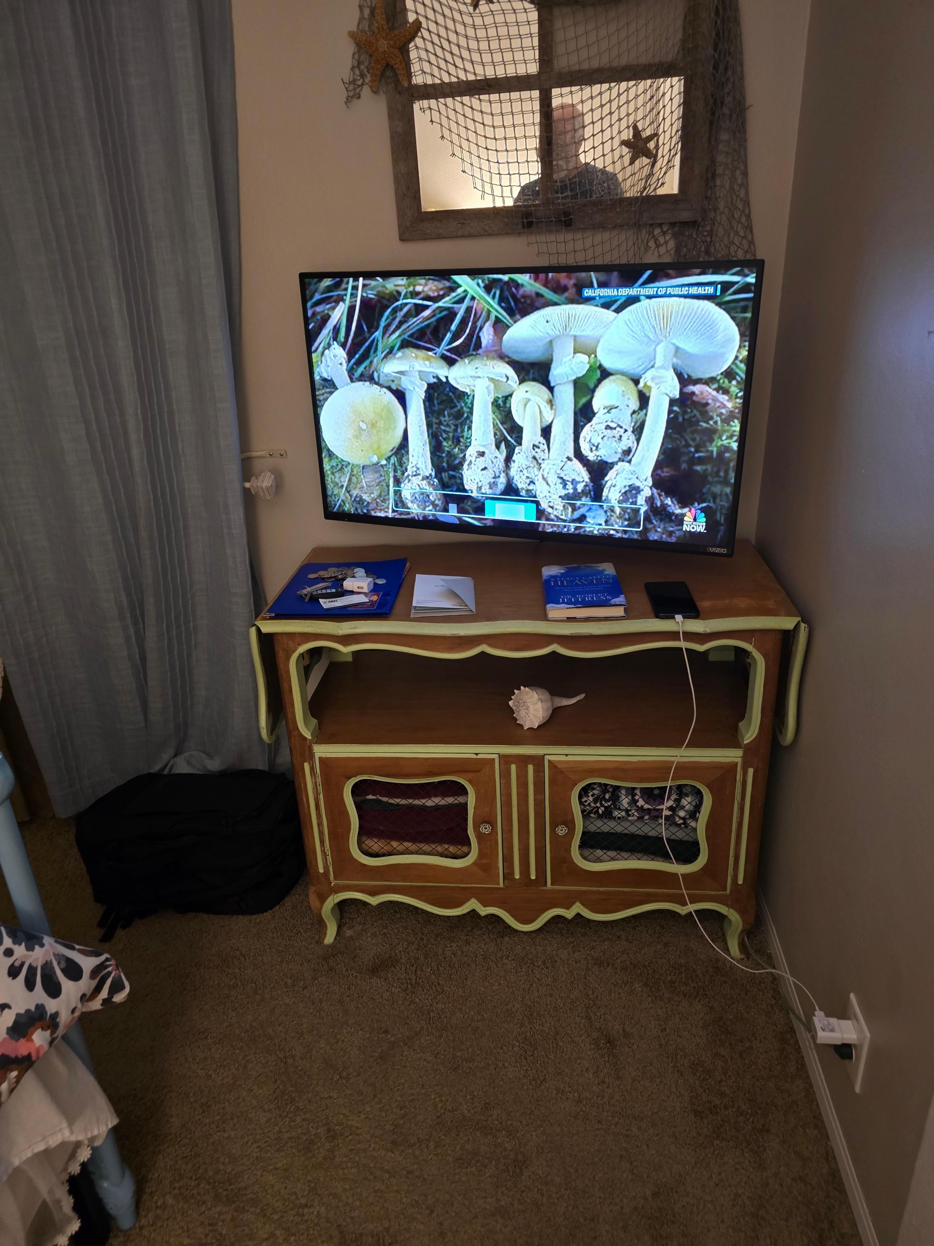 Multiple tv channels to watch