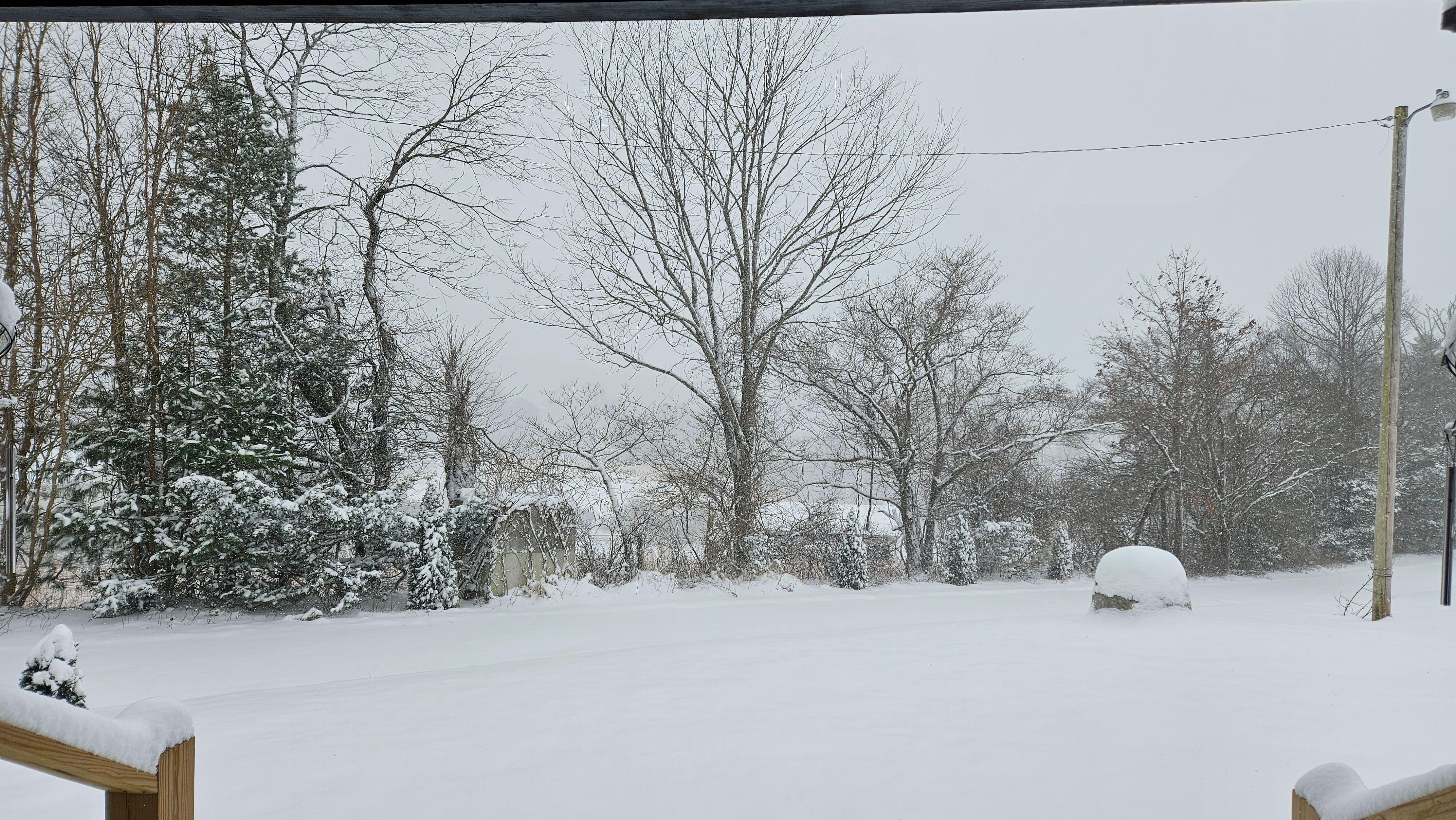 Lots of snow. View from front door.