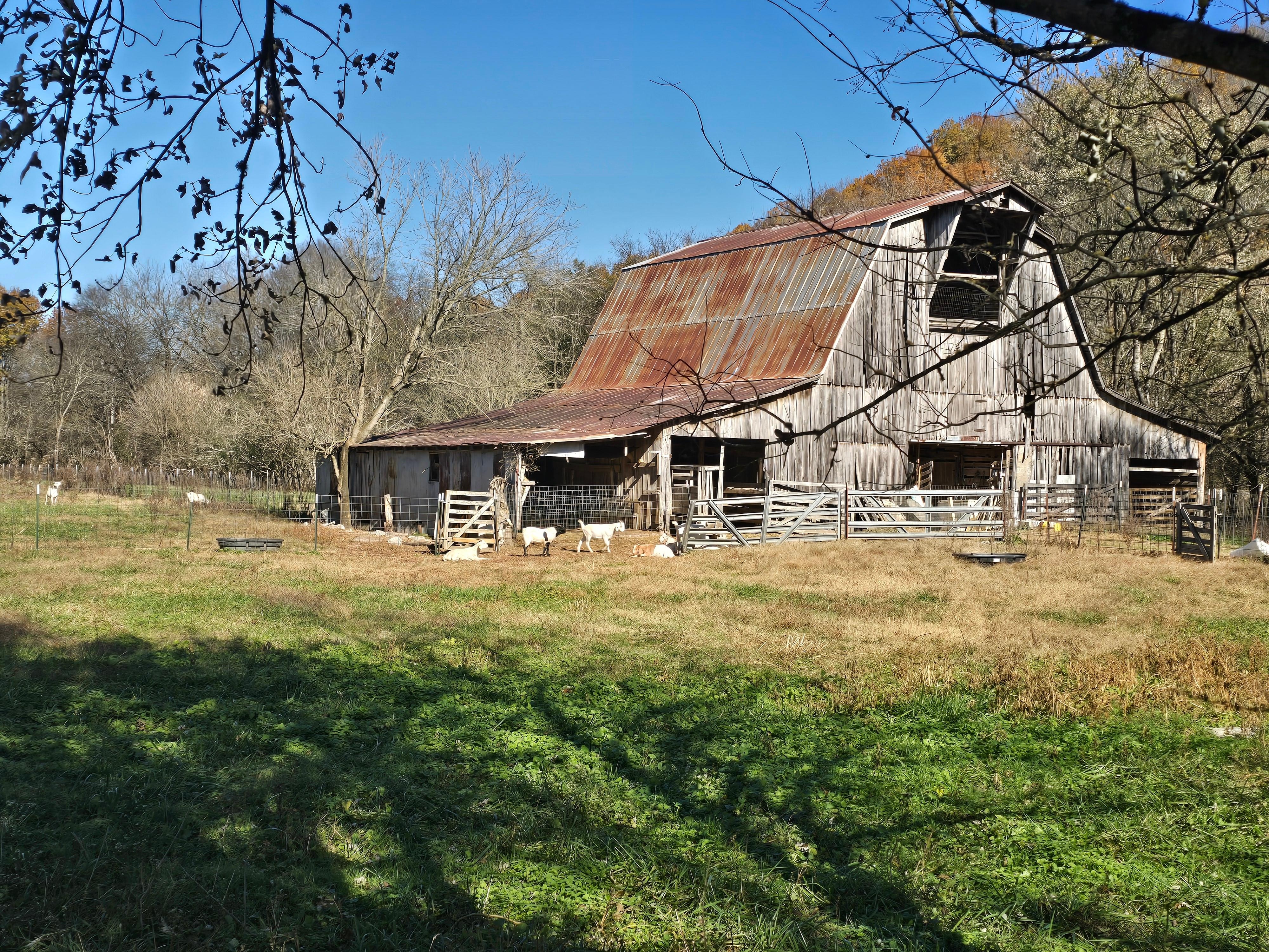 Attached farm with goats.