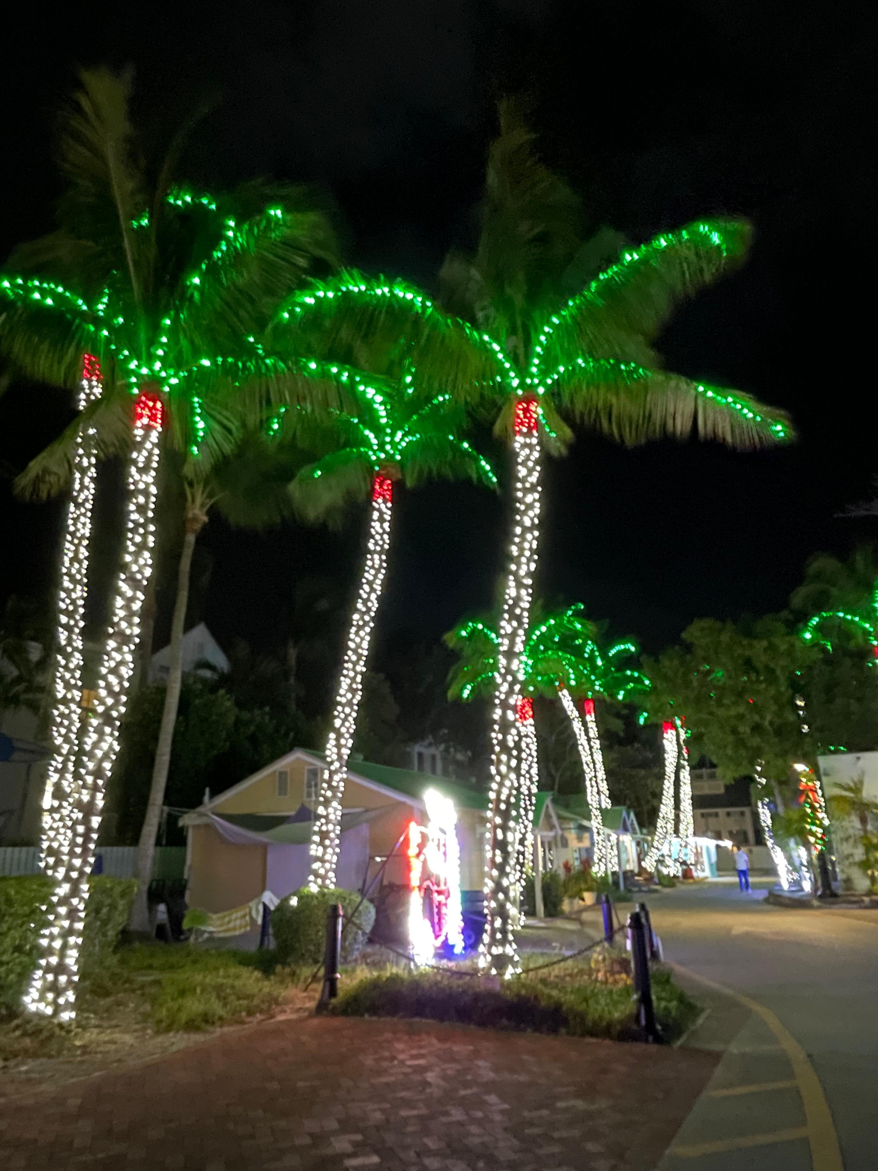 Harbor walk decorated for Christmas 
