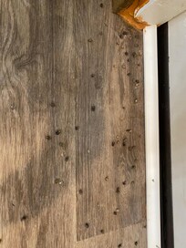 Bugs and not able to use downstairs bathroom