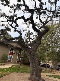 Courtyard outside unit
