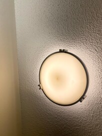 Bathroom light with dead bugs.