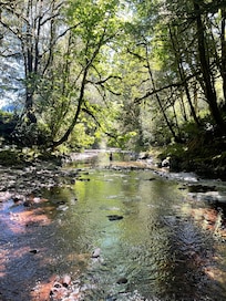 Creek next to the house