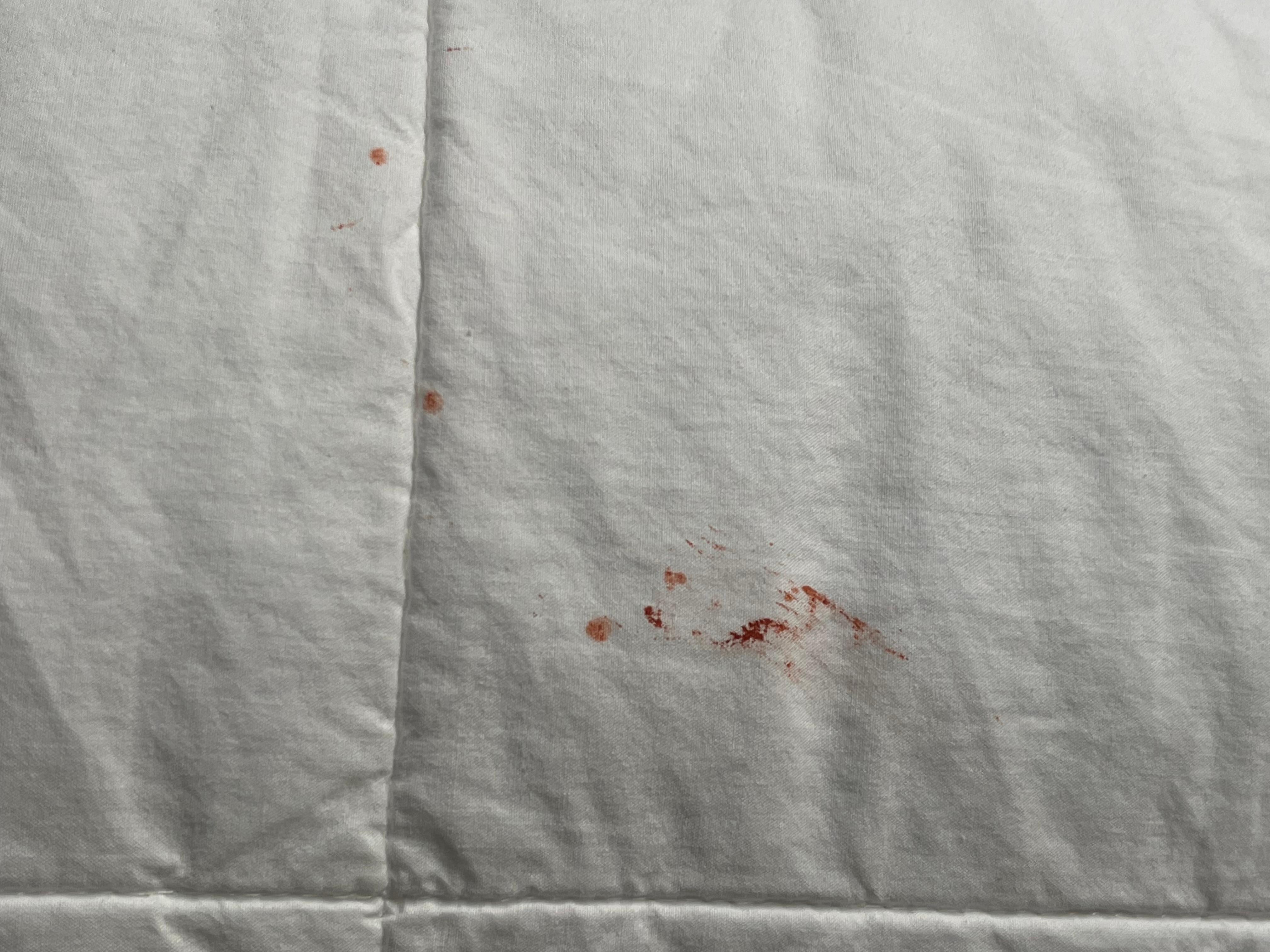 Blood