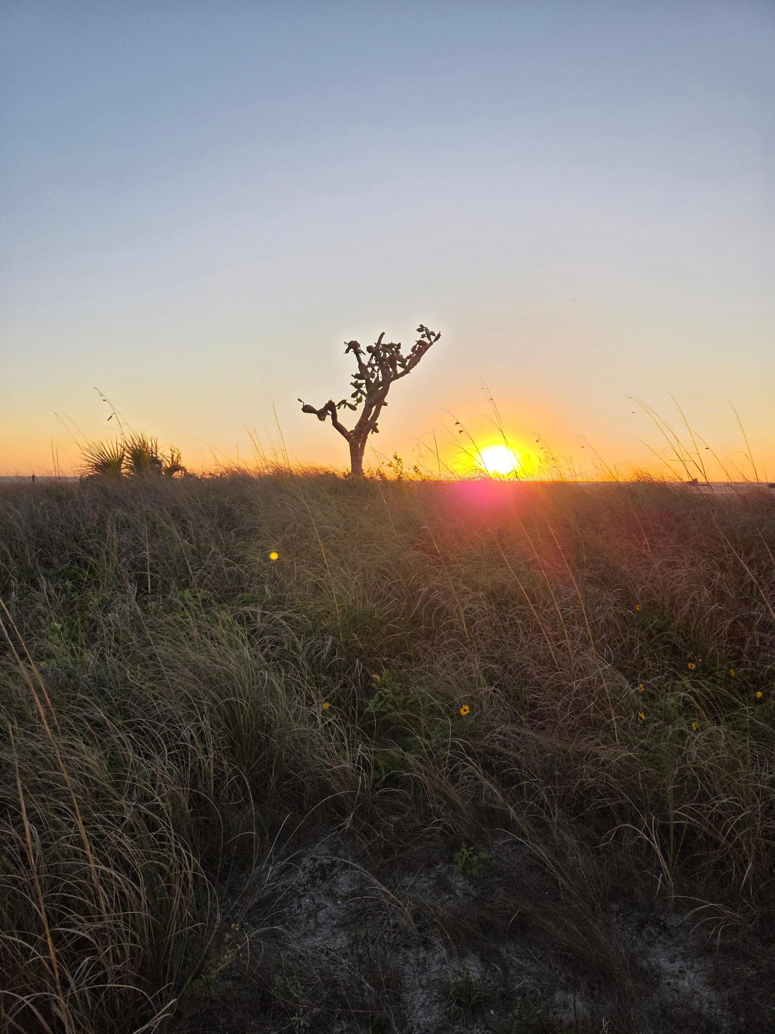 Treasure Island sunset